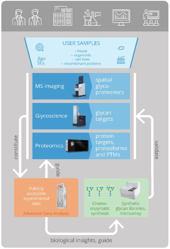 BioMS Group Photo 2024