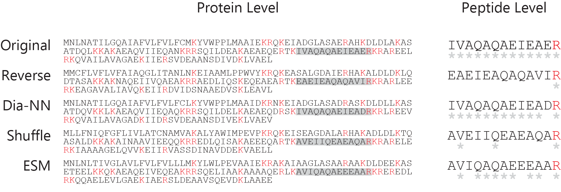 DecoyGen illustration