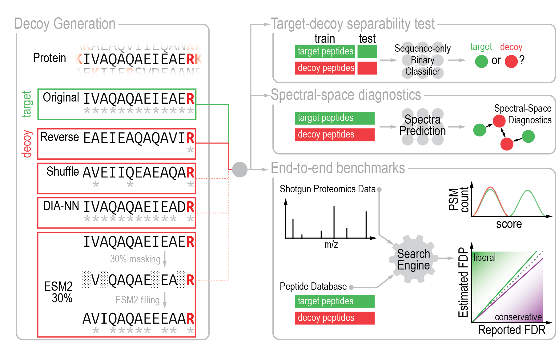 Protein Language Model Decoys for Target Decoy Competition in Proteomics illustration