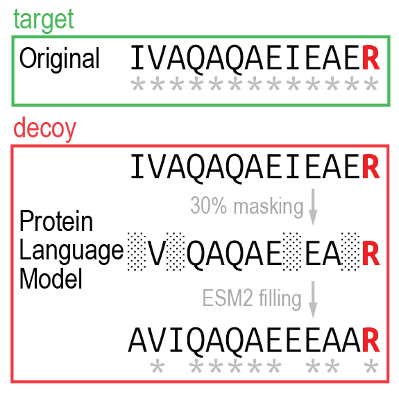 Protein Language Model Decoy manuscript is published in JPR