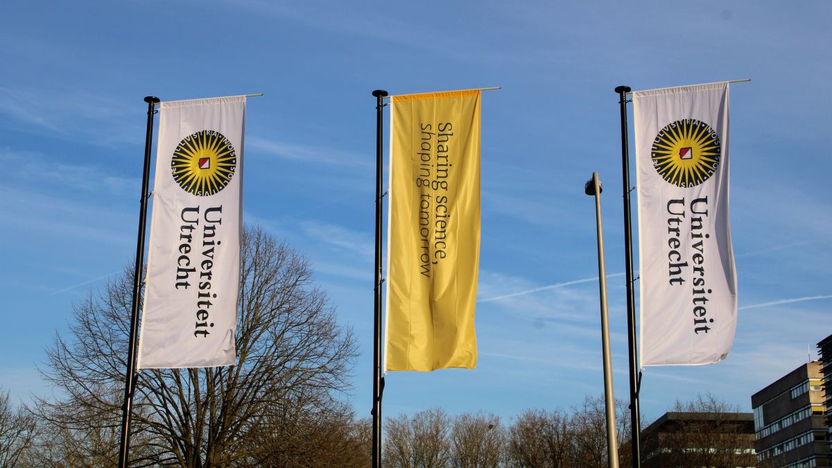 Sinitcyn Lab Publications Photo